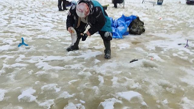 Основной водоём. смотреть онлайн