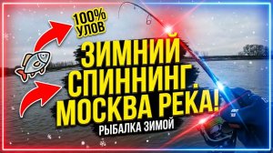 Спиннинг зимой спасает! Рыбалка на Москве реке в мороз