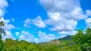 Настя видит сон о путешествии мечты [get.gt]