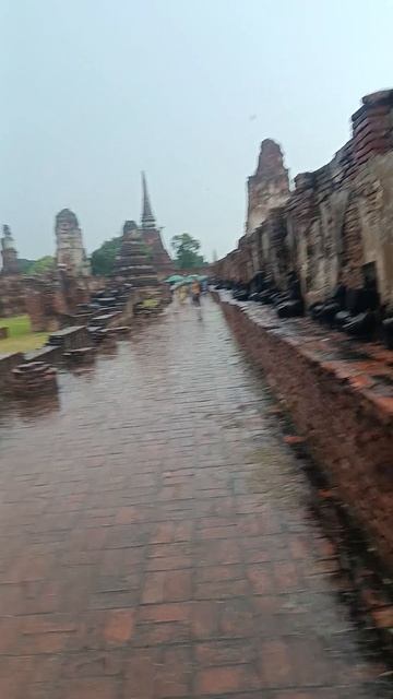 Где в Таиланде живёт тишина смотреть онлайн