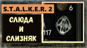 S.T.A.L.K.E.R. 2: Heart of Chornobyl   Где найти артефакты Слюда и Слизняк (защищают от радиации)