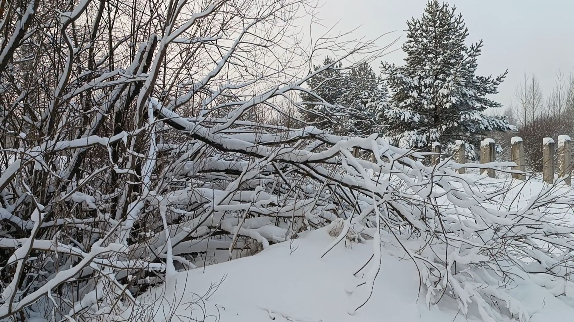 НИЧЕГО НЕТ КРАШЕ, ЧЕМ ПРИРОДА НАША смотреть онлайн