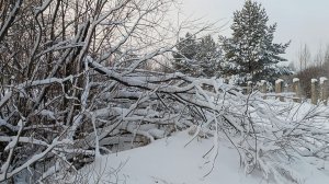 НИЧЕГО НЕТ КРАШЕ, ЧЕМ ПРИРОДА НАША