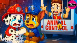 Щенячий патруль и Маршалл. Залипательное видео. Мультфильм для детей и малышей. Анимация 36