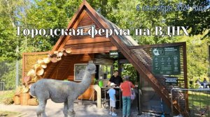 Городская ферма на ВДНХ — тёплый день 6 сентября