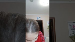 Влог с свинкой