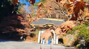 Солнечный Свет Японии: '"Не спеши говорить «Прекрасно», пока не увидишь Никко" - говорят японцы