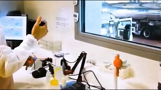 Производство печенья и конфет на Новогодний праздничный стол