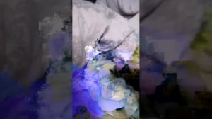 Навогодний падарок(сладкое)