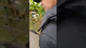 Промерзжий Алеут остался один