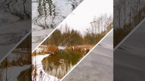 Рыбалка на мелкоречке, где-то около дома.