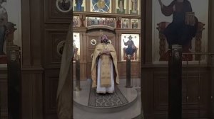 Притча о званных на брачный пир. О призыве Божием и реальном спасении. Проповедь о. Андрея. 28.12.25