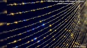 Вечер у Главной Ёлки Калининграда на пл. Победы  28 декабря 2025