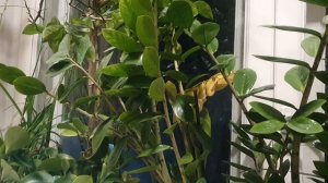 О себе и о тебе...