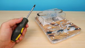 Что внутри Формикария? Все оказалось не так просто! alex boyko