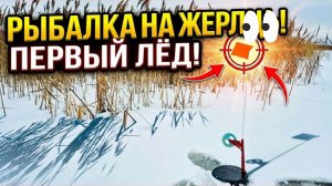 Таких щук я ещё не ловил в своей жизни. Первый лёд ловля щуки на жерлицы.