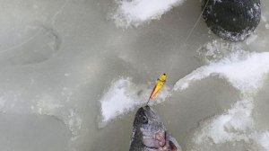 VID_20251229_094244_357