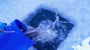 ЗАПУСК 29.12.25