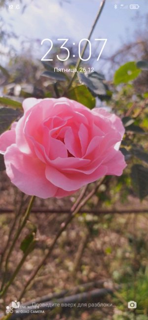 распаковка конфет