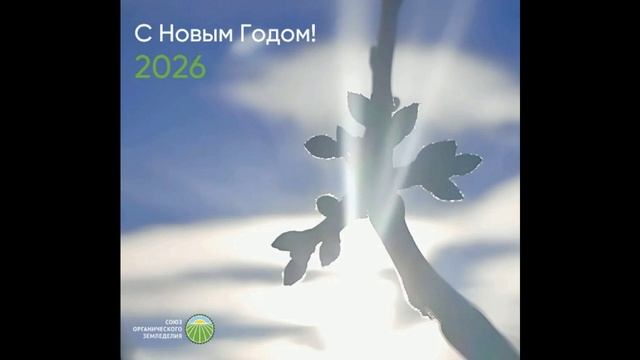 С наступающим Новым Годом!