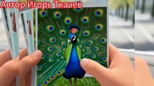 Песенки. В ЗООПАРК