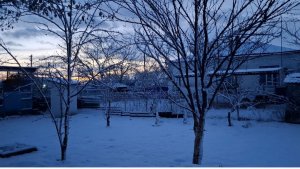 967 Переезд на юг.Из Города в Станицу.Жизнь продолжается.