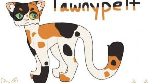 Рыжинка/Мап/Коты воители/