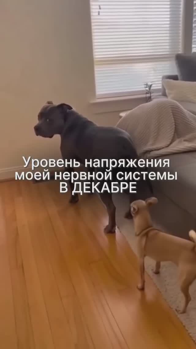 😂Доброе утро! смотреть онлайн