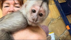 Финик ОБИДЕЛСЯ на папу Влада и окружил внимание меня, прическа получилась отпадная)))