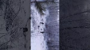 катаемся на горке