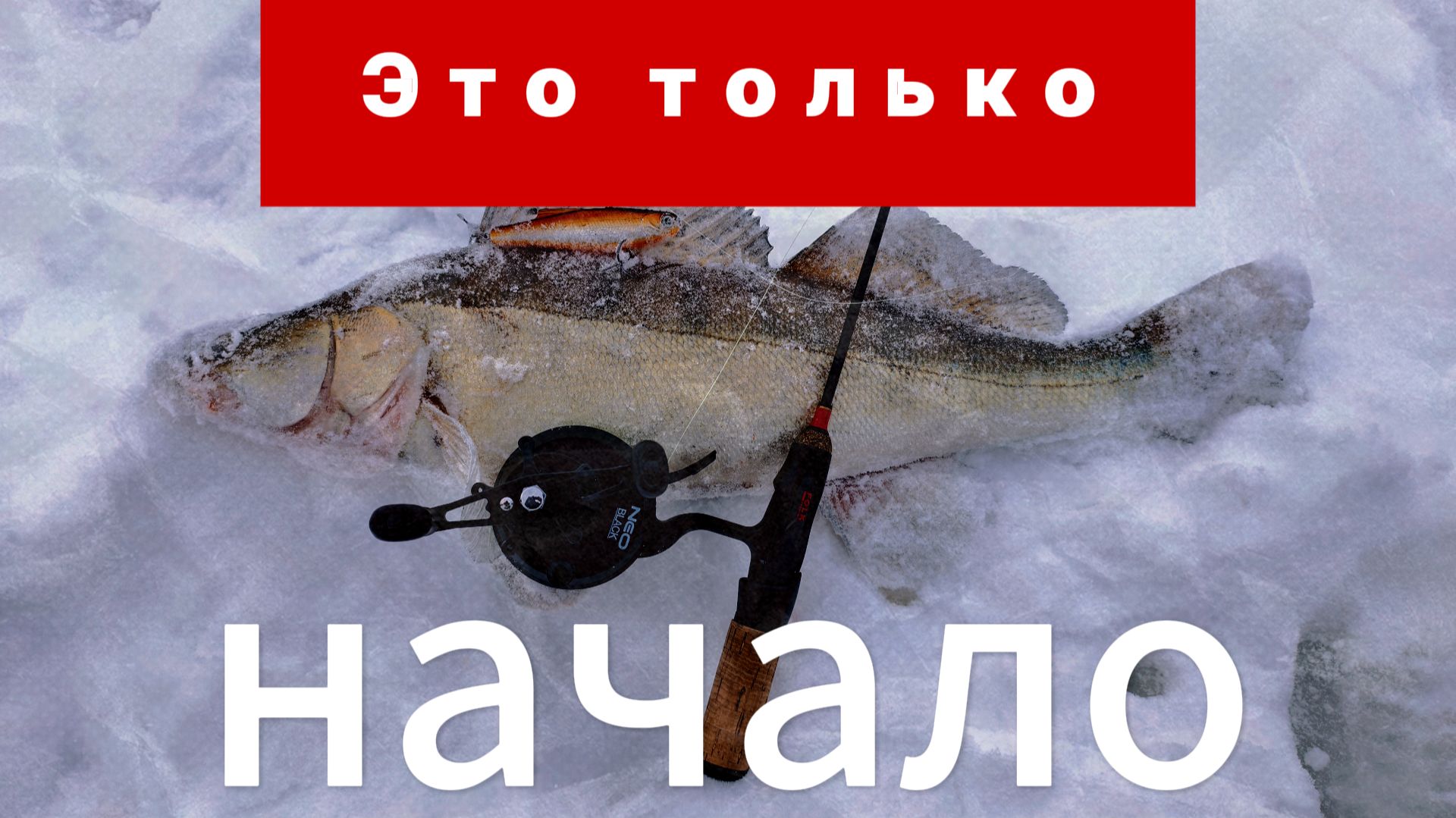 Это только начало.