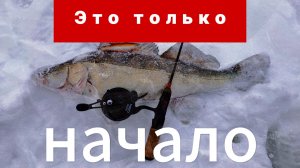 Это только начало.