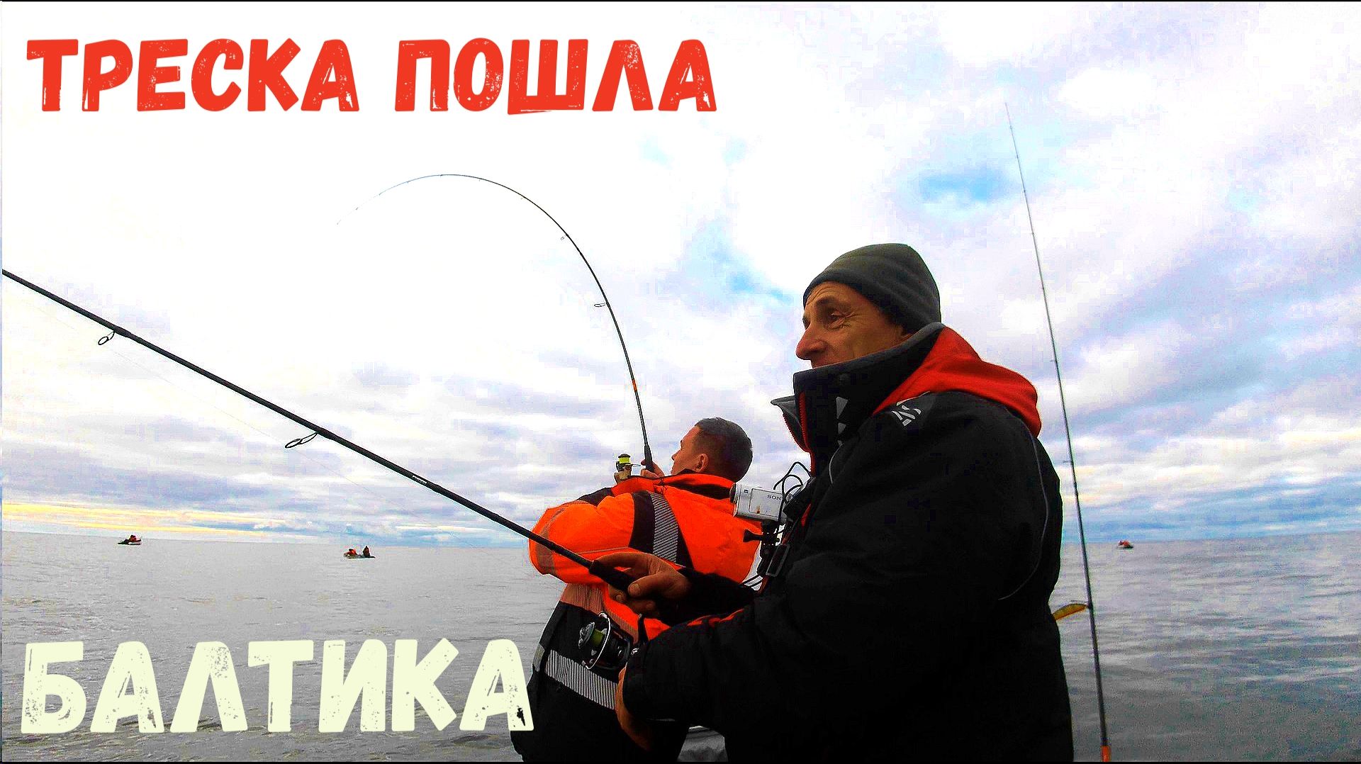 ТРЕСКА ПОШЛА! БАЛТИКА РЕАЛЬНО ВЫДАЛА! смотреть онлайн