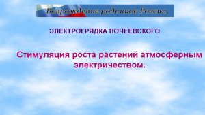 ЭЛЕКТРОГРЯДКА ПОЧЕЕВСКОГО ДЛЯ САДА ОГОРОДА