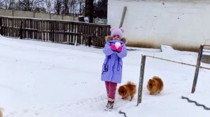 Разбили забор...Макеевка ДНР Россия , такие дела...