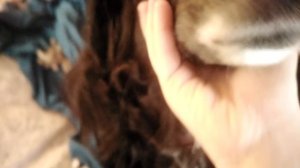 VID_20251229_102101.mp4