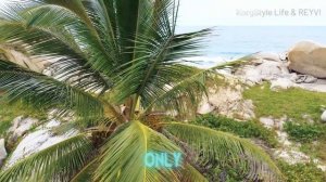 KorgStyle Life & REYVI - Every Fear   (Original Mix) 2026