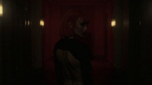 skyfall beats - northen light