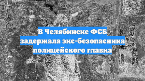 В Челябинске ФСБ задержала экс-безопасника полицейского главка