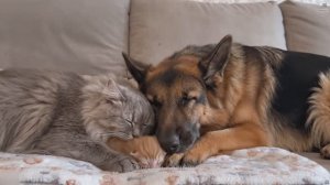 Доказано! Всё зависит от вас, смотри и делай ) 4K HDR