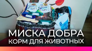В Новгородской области проходит акция «Новогодняя миска добра»