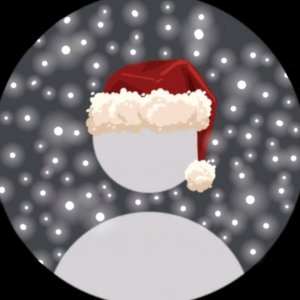 ДИАНКА ВЕРОНИКА