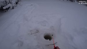 От сорожьей точки до слияния рек: как мы искали клев с Жорой. Зимняя рыбалка 2025.