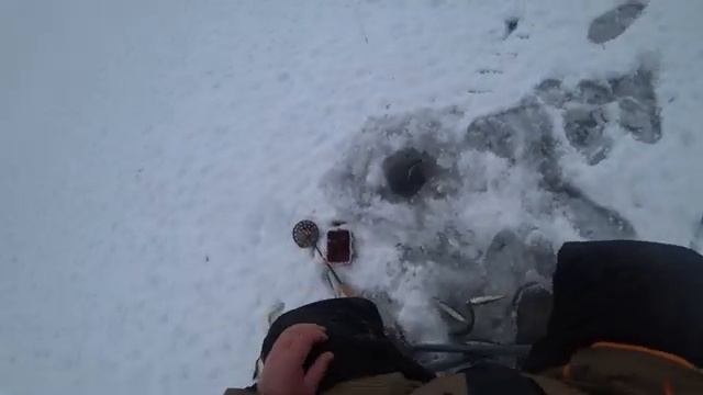 Лови пока клюет, а иначе... смотреть онлайн