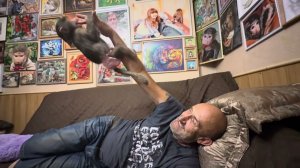 На вечернее общение Анфисы с Владом я могу смотреть долго, она его ждет весь день )