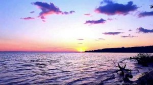 Игорь Дудин - Жигули