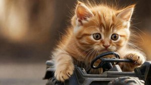 ИИ АНИМАЦИЯ | ЗАЛИПАЛКИ