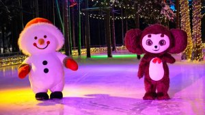 Новая ледовая площадка открылась в Мытищинском лесопарке