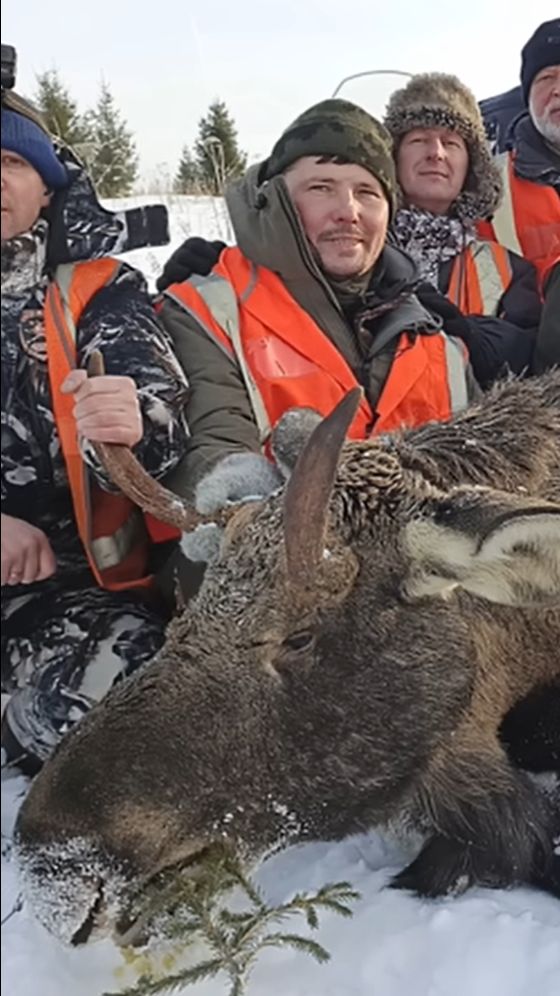 Охота на лося с оптическим прицелом ARTELV 1-6x28 FFP 34мм смотреть онлайн