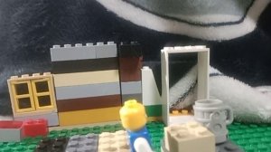 1000100204.mp4лего